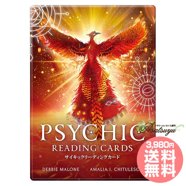 楽天市場】おかみカードセット New Edition（メッセージブック付き