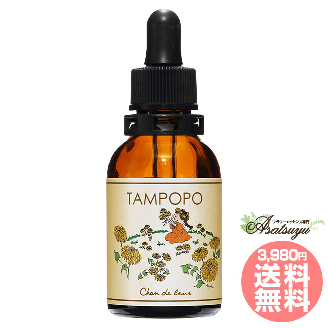 楽天市場】ブレインバランス Brain Balance ハートラディエンス