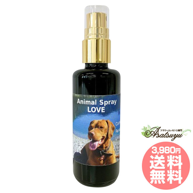 楽天市場】K9スプレー 200ml コルテPHIエッセンス スプレー