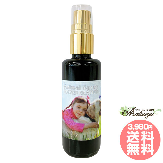 楽天市場】K9スプレー 200ml コルテPHIエッセンス スプレー