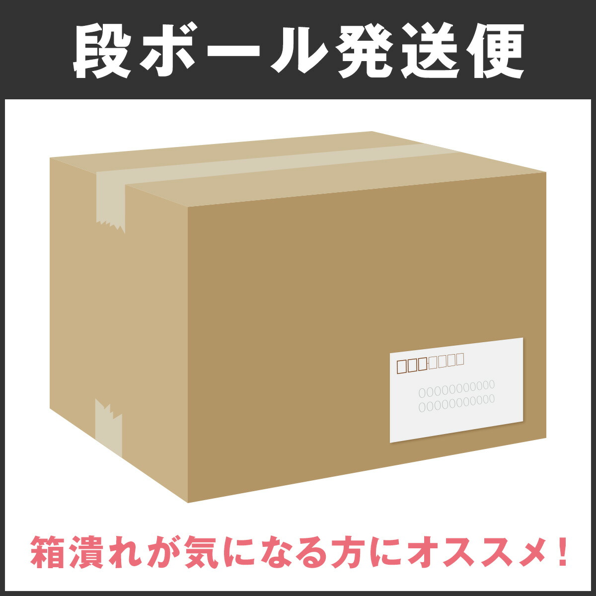 最新 ダンボール 段ボール 引越し 10個セット ダンボールボックス 容量6L DB-S2 幅24×奥行22×高さ13.6 箱 梱包材 アイリスオーヤマ  lepetgourmet.com.br