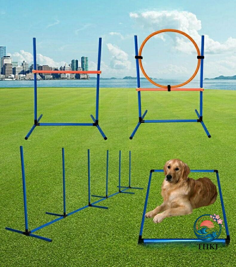 ドッグアジリティ 犬 アジリティ 犬用手あそび スラローム ハードル ジャンプバー 差しつかえ物 精神的な統合式 室内 引きくらべる 読み合わせる 愛玩動物 犬装置 運動すること物の具 犬 しつけ A+B+C+D4 点買いもとめる納める御徒面子 GET