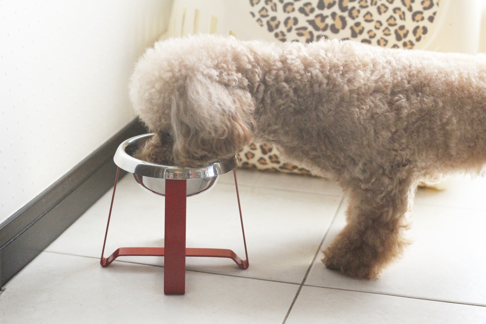 楽天市場 ペコロ フードスタンド Sトール 犬 食器 おしゃれなフードボール プードル専門店アッシュブロンド