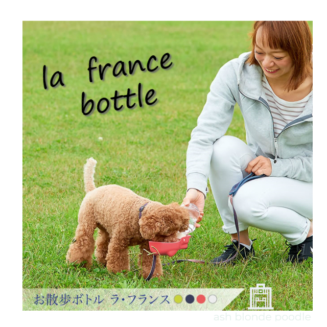 楽天市場 お散歩ボトル ラ フランス 犬お散歩 水飲み 可愛い水飲み 犬 ウォーターボトル プードル専門店アッシュブロンド