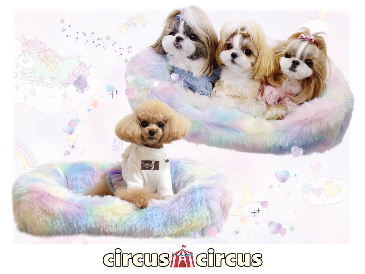 公式の Circus Circus サーカスサーカス Unicorn Bed カドラー 可愛いベッド 犬 暖かいベッド Mサイズ トイプードル ダックス チワワ 犬用品 リリビング用品 ベッド プードル専門店アッシュブロンド 日本最大級 Www Dialab Rs