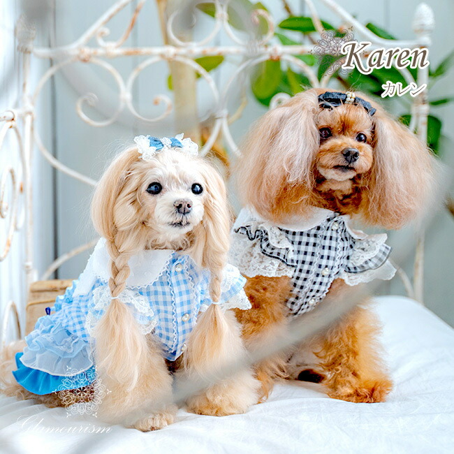 楽天市場】グラマーイズム Glamourism エレノア Elenore【小型犬 犬服