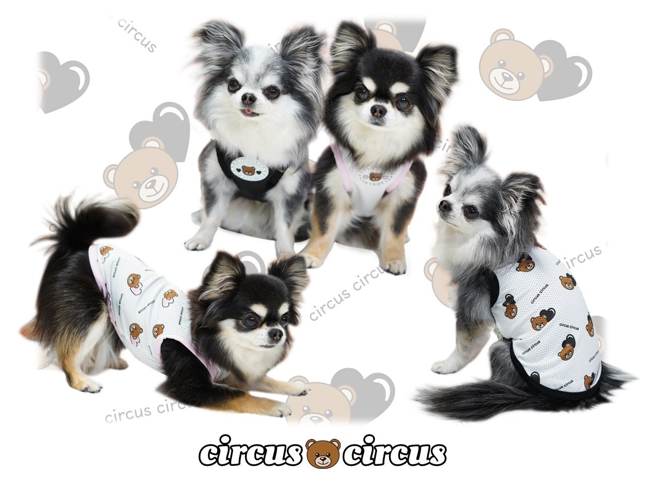 21 S S Collection Circus Circus サーカスサーカス Heart Bear メッシュタンク Circus Circus ハートベア 犬服 犬グッズ かわいい おしゃれ S S セレブ 犬服 Aplusfinance Blog Com