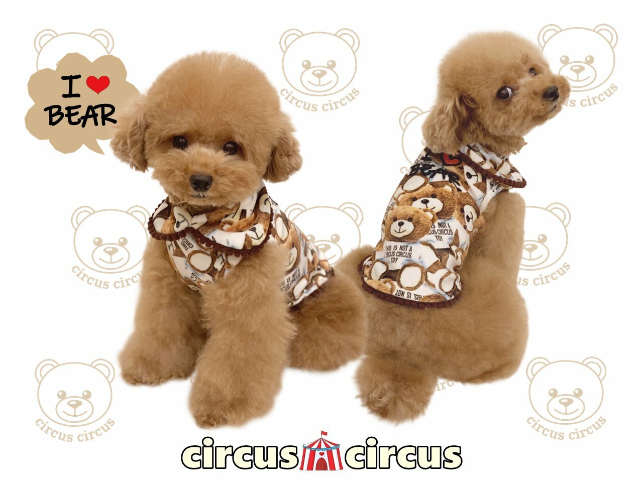 circus circus サーカスサーカス トイベアスリングブラック 服ブランド,circus circus | NONKOROオンラインストア