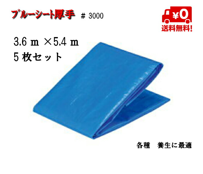 厚手 3000 3 6ｍ 5 4ｍ 5枚 ブルーシート 送料無料 送料無料 送料無料 厚手シート その他 輸入品 厚手シート ガーデニング 農業 養生 シート 養生ブルー資材 建築 土木 農業 漁業 防鳥 獣害 鳥害 工場 足場販売アクセス