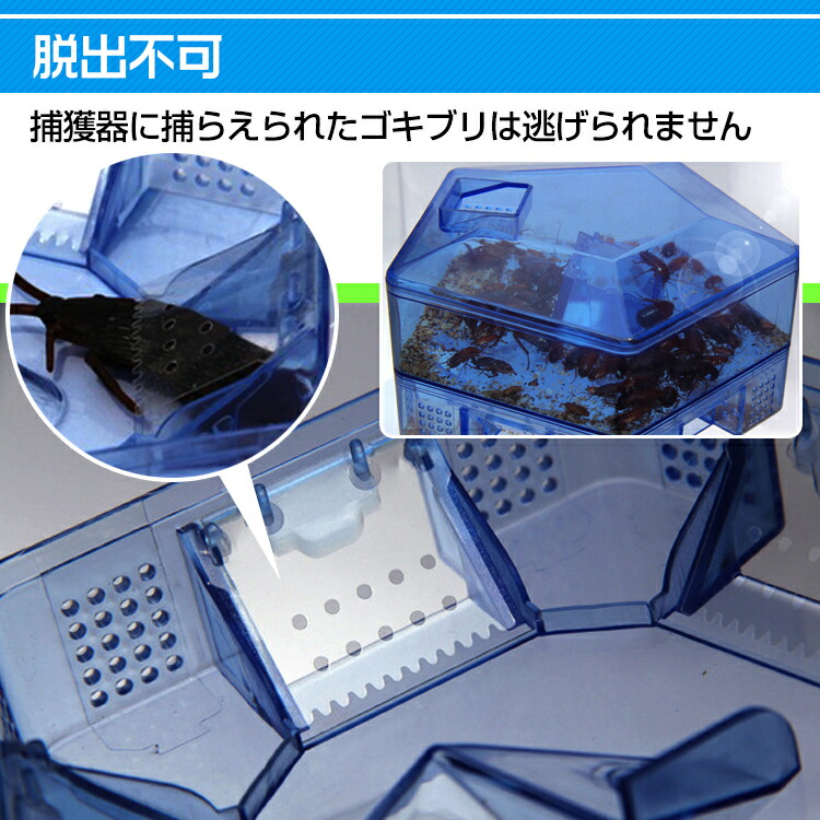 楽天市場 8 7 土 0 00 3 Offクーポン 送料無料 ゴキブリ 対策 駆除 捕獲器 2個セット 退治 害虫 餌付き 生け捕り 罠 キッチン 風呂場 梅雨 衛生 Ny154 Aショップ 楽天市場店