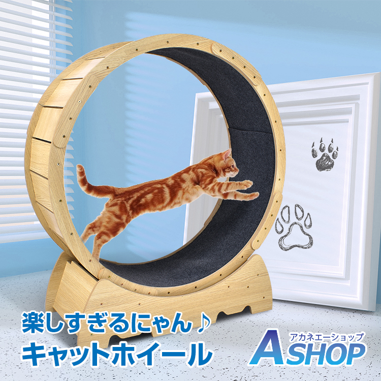 楽天市場】☆8/1限定P5倍☆【送料無料】キャットホイール 猫専用ルーム