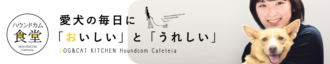 楽天市場】帝塚山ハウンドカム 歯石取りペンチ 犬用 猫用 ステンレス