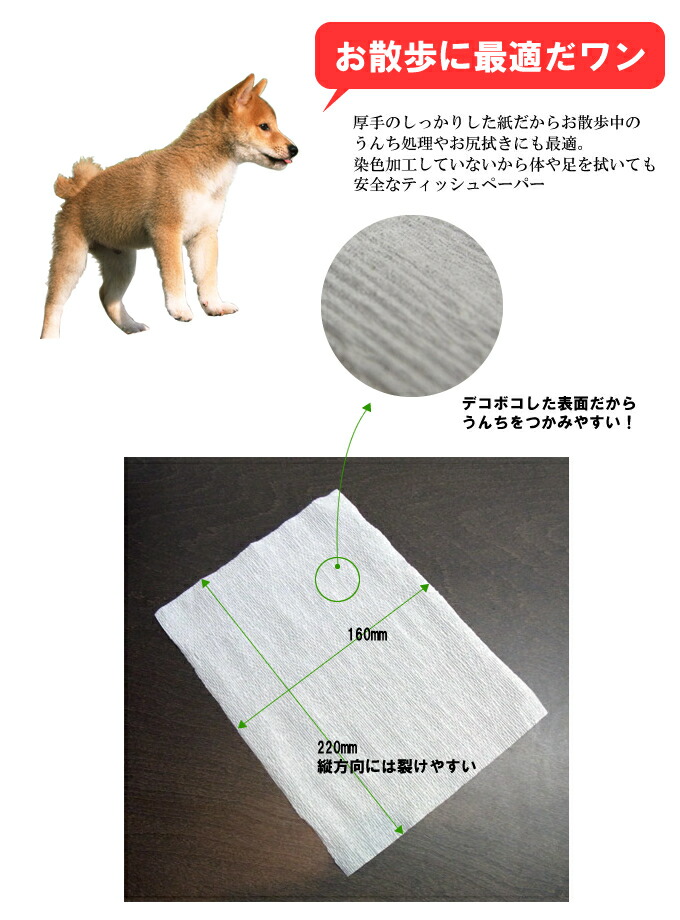 トイレに流せるティッシュ 1000枚入り ほか犬 散歩 マナーポーチ 猫 うんち トイレ おさんぽ お散歩 水に流せるティッシュ 流せる 犬用 猫用 犬のトイレ 愛犬 愛猫 ドッグ Www Pgrhonduras Gob Hn