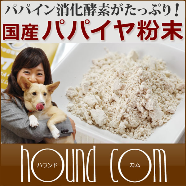tezukayamahoundcom rakutenichibaten as a dog enzymes domestic