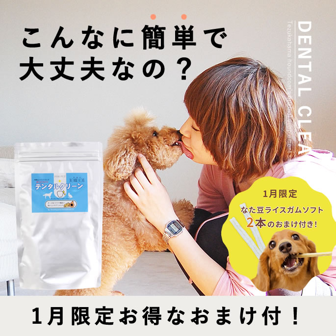 楽天市場】【1月限定】いい歯応援キャンペーン！犬 デンタル パウダー