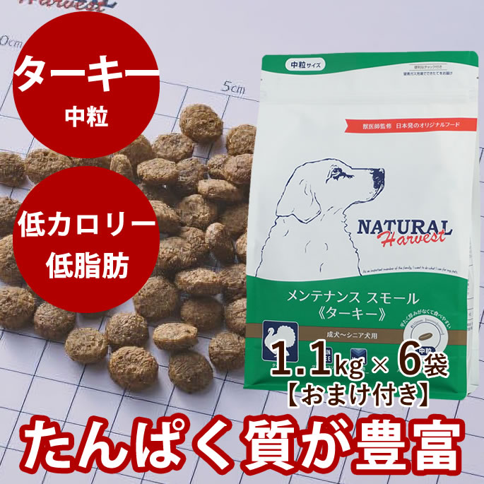楽天市場】ナチュラルハーベスト メンテナンススモール ターキー 6kg