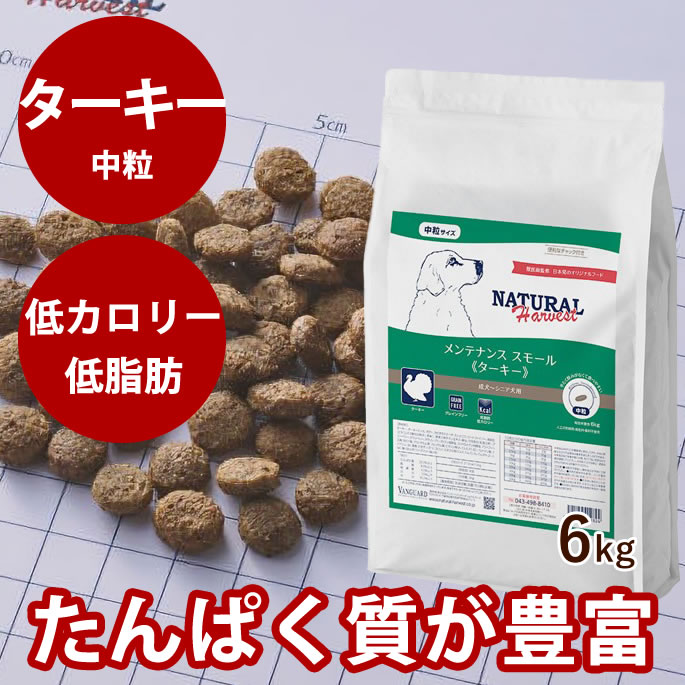 おいも大寄りあつまる