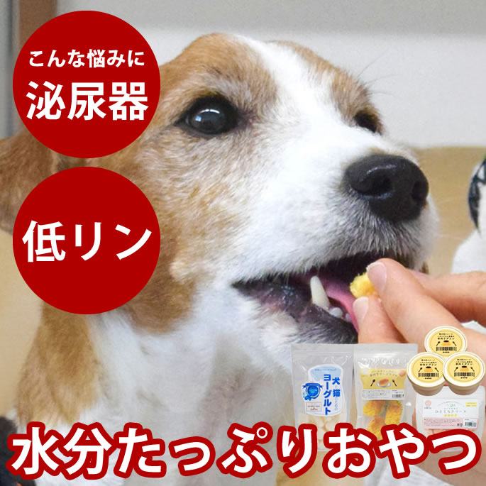 楽天市場】ドクターズケア 犬 尿石ケア 犬用 1kg 3kg : 生活の森
