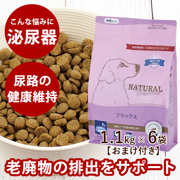 おいも大寄りあつまる