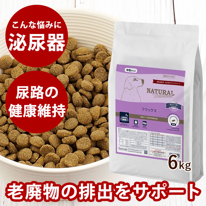 おいも大寄りあつまる
