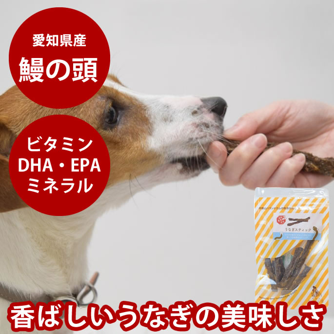 腎の臓に愛想のいい召し上がる特集