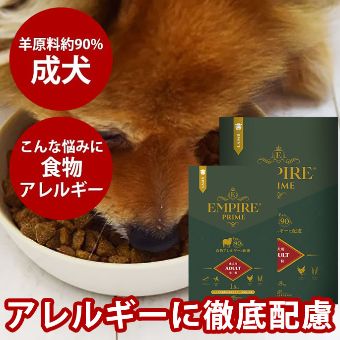 おいも大寄りあつまる