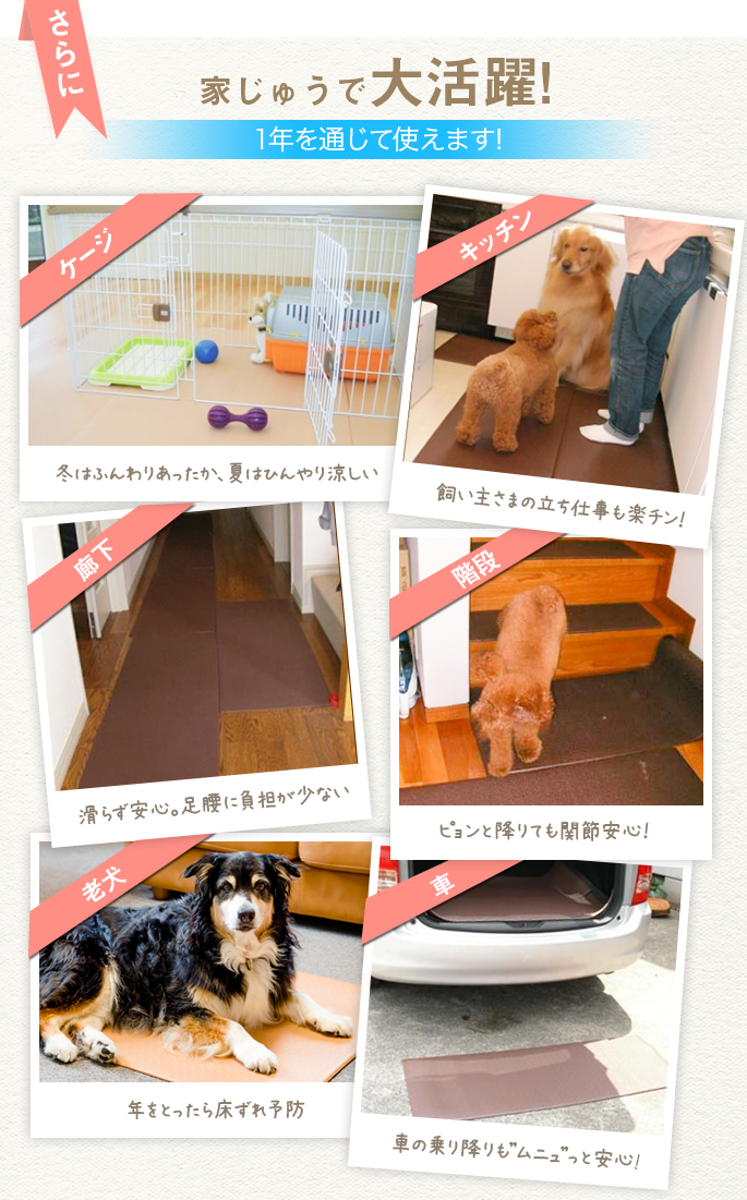 大型犬用 マルチマットムニュ 犬用 滑り止めマット リビング サイズ100cm 122cm 厚さ1cm Mavipconstrutora Com Br