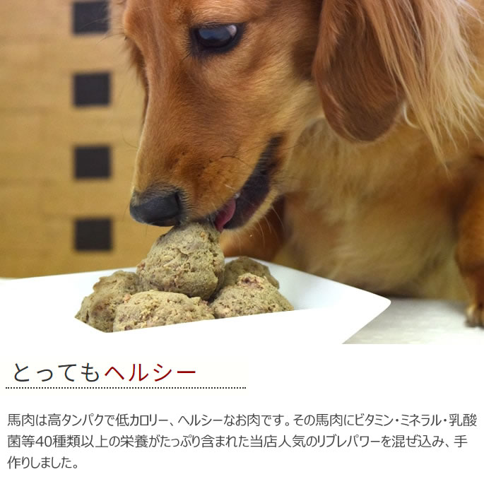 犬猫用 馬肉 馬肉団子 お惣菜 馬肉ミートボール 愛犬愛猫用 手作り食にも ミートボール