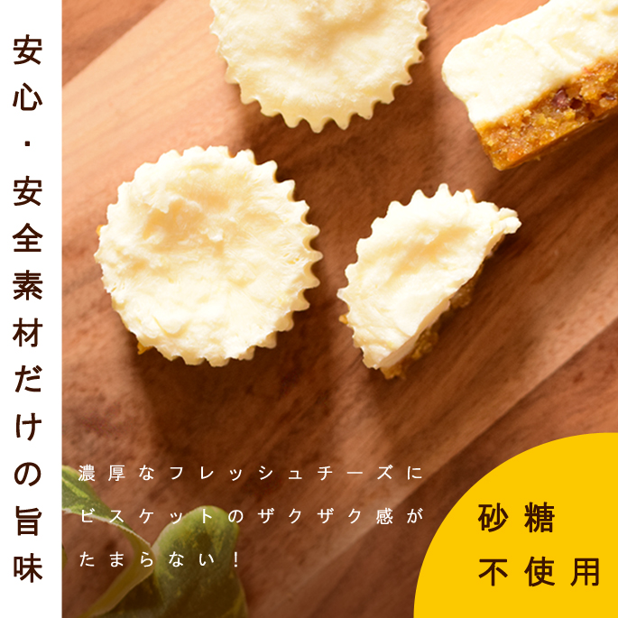 市場 犬用 無添加 砂糖不使用 5個入り 食堂の手作りレアチーズケーキ 犬 ハウンドカム食堂 犬用ケーキ スイーツ 冷凍 国産 おやつ