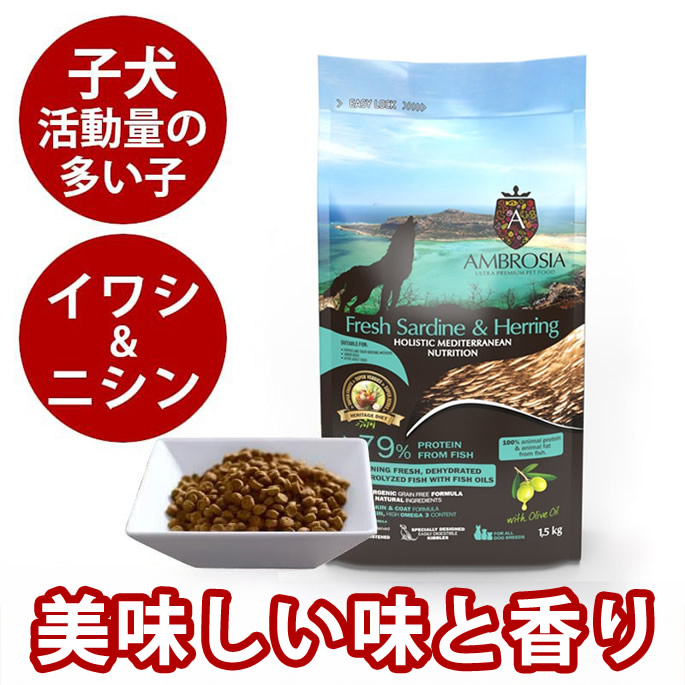 【割引クーポン配布中】アンブロシア　HMNサーディン＆ヘリング　100g / 1.5kg / 5kg / 12kg　全年齢対応　愛犬用ドライフード　AMBROSIA（子犬・授乳期の母犬・活動量の多い成犬・小食な成犬に特におすすめ）｜帝塚山ハウンドカム　店