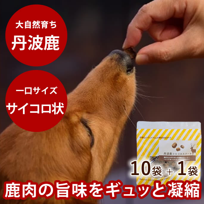 値引きする 楽天市場 犬用おやつ 丹波鹿コロコロステーキ 10袋 1袋セット 無添加おやつ 犬用無添加ジャーキー 鹿肉 小型犬 ご褒美 栄養 A0107 帝塚山ハウンドカム 楽天市場店 楽天カード分割 Lexusoman Com