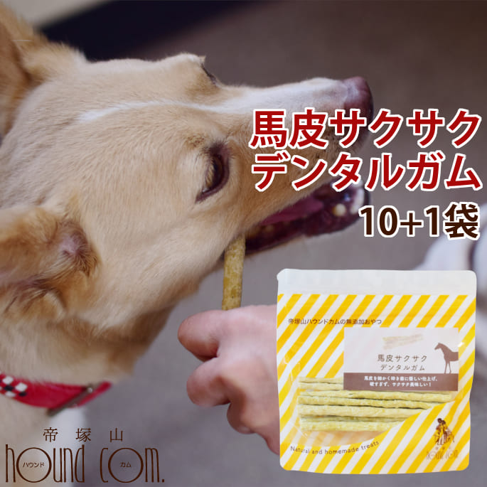 人気ブランドを 楽天市場 愛犬用ガム 馬皮サクサクデンタルガム 10袋 1袋セット ガム デンタルトリーツ 犬用歯磨きガム 柔らかめガム 子犬 老犬 おやつ デンタルガム 食いつき抜群 馬皮ガム 安心無添加 噛むおやつ チキンアレルギーの愛犬に 豚アレルギーの愛犬に 牛