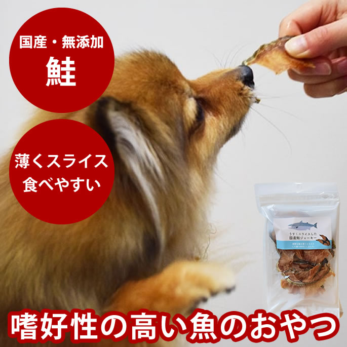 腎の臓に人懐っこい召し上がる特集