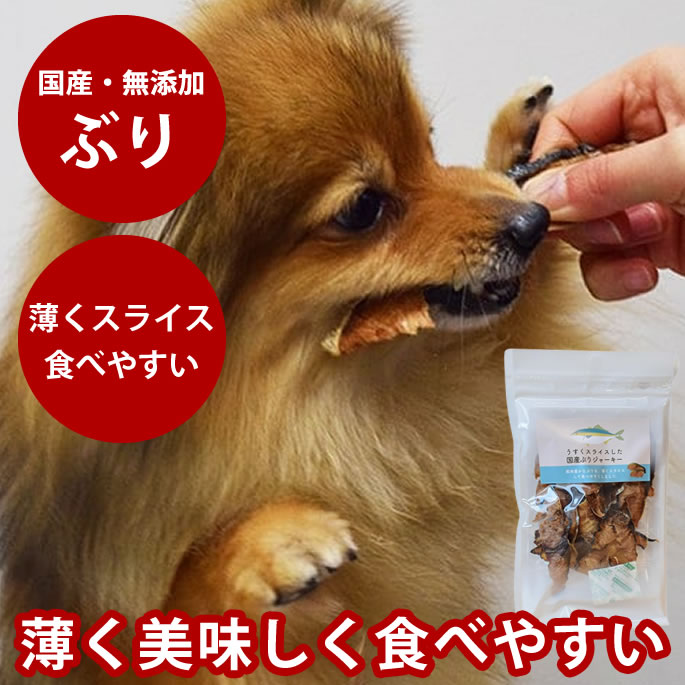 腎の臓に人懐っこい召し上がる特集
