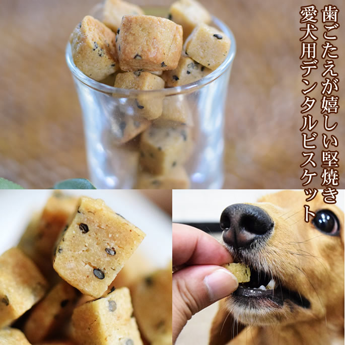 【楽天市場】犬用おやつセット ミニギフトおやつアソート 犬のおやつ ドッグフード おやつ【ご飯 犬オヤツ 犬おやつ オヤツ わんちゃん】【a0100】：帝塚山ハウンドカム 楽天市場店