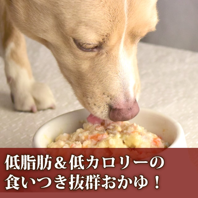 犬用レトルト ササミと卵のおかゆ100g 1ケース 100袋セット 1ケース 犬用 手作り食 鹿肉 無添加 涙やけ 国産 低脂肪 低カロリー 乳酸菌入り 消化にやさしい 一般食 やわらかいのでシニアにも ささみ 玉子がゆ たまご タマゴ 鶏肉 愛犬の安心レトルトごはん 低カロリー