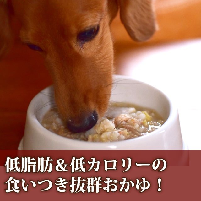 愛犬が喜ぶサーモンとおいも さつま芋 魚 長芋 の美味しいおかゆ おかゆ 愛犬の安心レトルトごはん 低カロリー鮭の芋がゆ 100g 100袋セット Dog 犬用レトルト ウェットフード 手作り食 犬用品 低カロリー 低リン 鮭 魚 粥 無添加 国産 ドッグフード ドックフード Dog
