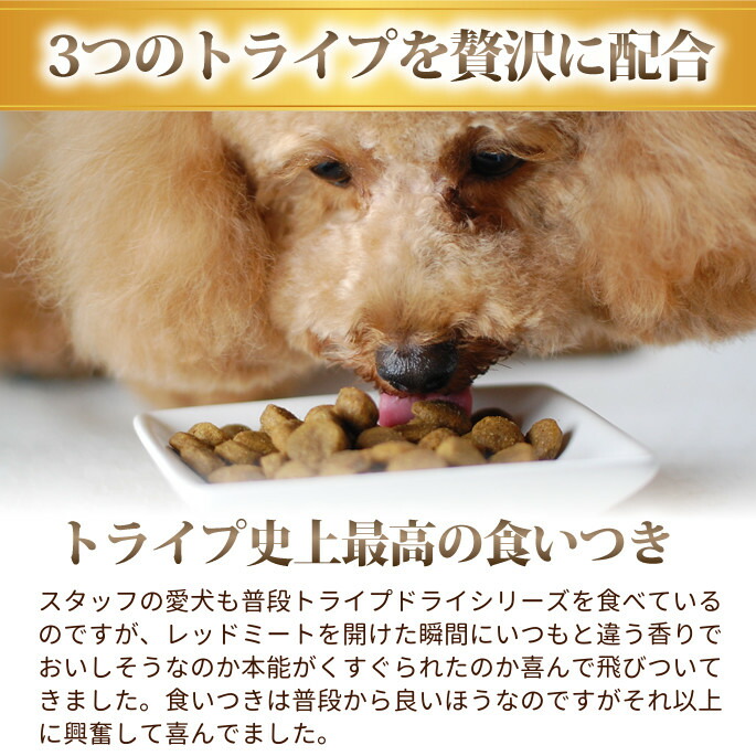 レッドミート 2 72kg 2袋 ドッグフード トライプドライ 子犬 ドッグフード 小食 偏食 子犬 ペットフード 偏食 グレインフリー 穀物不使用の最高級フード トライプは犬や老犬にぜひ試してほしいプレミアムフードです 穀物フリー プレミアムフード 乳酸菌 レッドミート 2 72kg 2袋 ドッグフード トライプドライ 子犬 ドッグフード 小食 偏食 子犬 ペットフード 偏食 グレインフリー 穀物不使用の最高級フード トライプは犬や老犬にぜひ試してほしいプレミアムフードです 穀物フリー プレミアムフード 乳酸菌