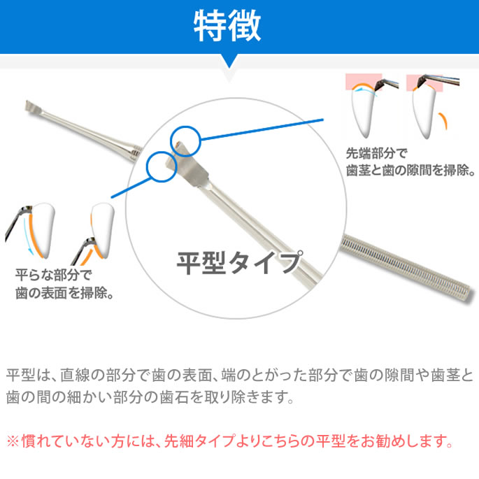 バーゲンセール 愛犬 猫 用スケラー 先細平型セット 犬 歯磨き デンタルケア 歯石取り 歯垢や歯石除去 送料無料 犬の歯磨き 犬用 歯石 除去 スケーラー 歯石とり デンタル 歯みがき 犬用品 猫用品 猫用 ドッグ キャット Whitesforracialequity Org