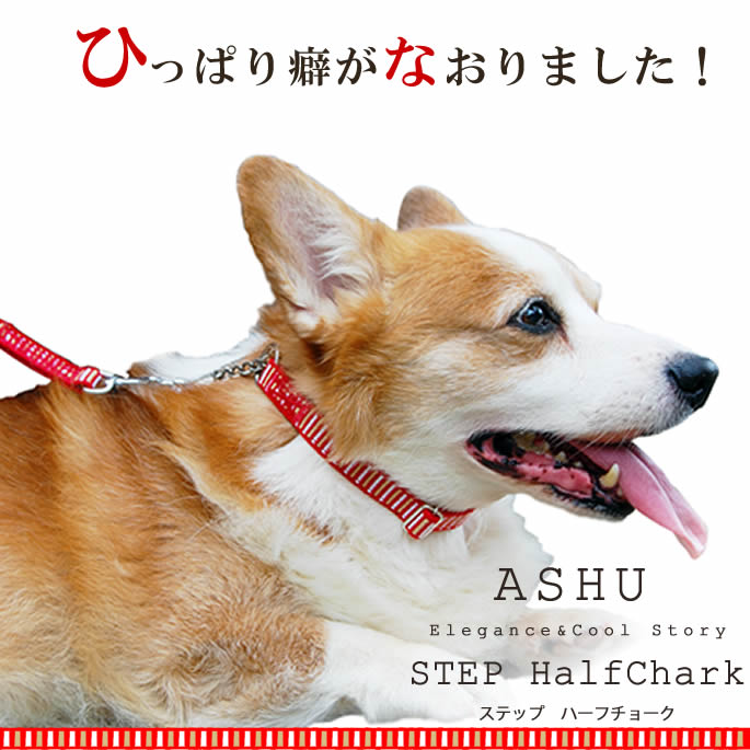 ハーフチョーク 中型犬 ASHU ステップハーフチョークM 幅1.5cm しつけ トレーニング 訓練に 業界No.1