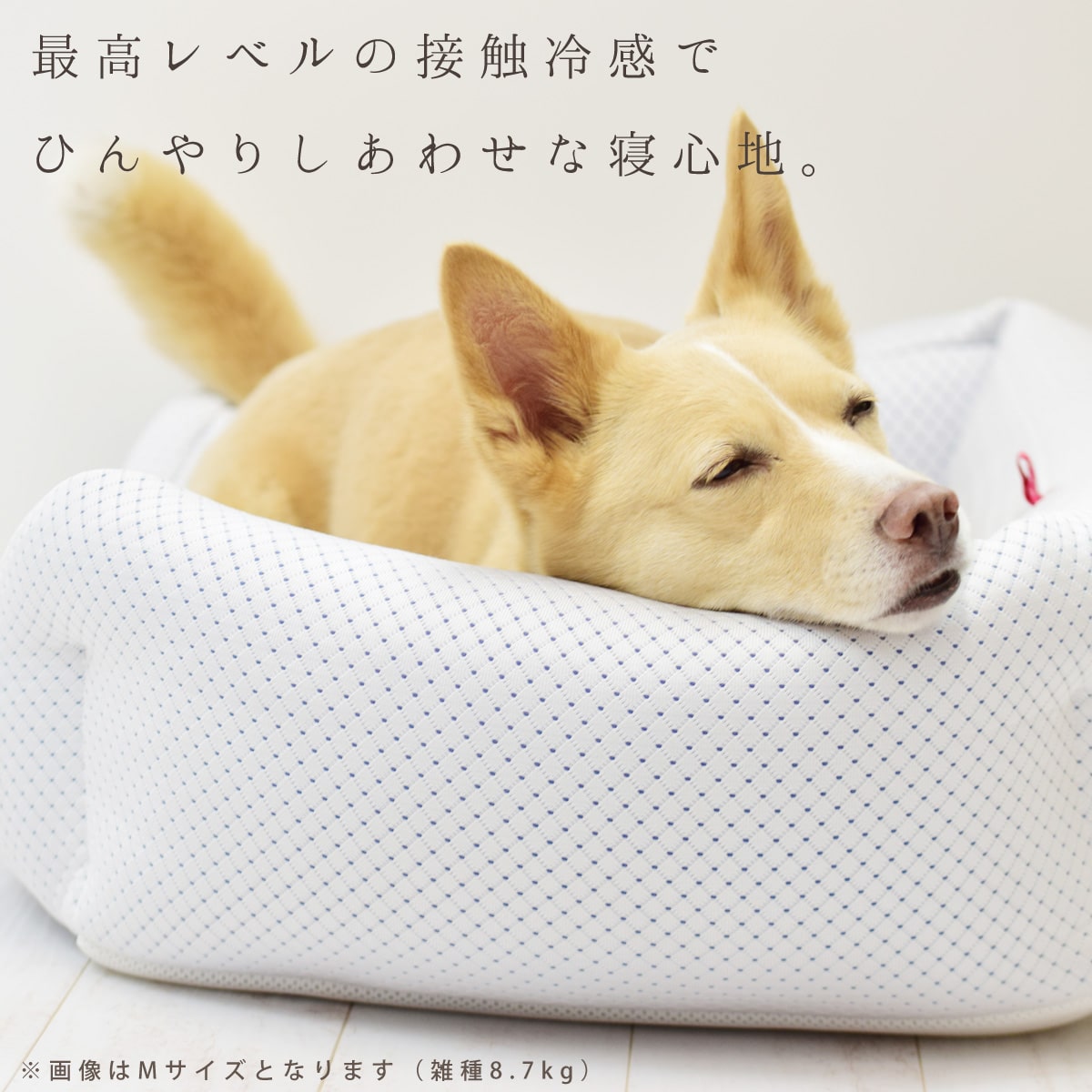 愛犬愛猫用 超クールwラッセルスクエア型ベッド S ペット用ベッド ひんやり 小型犬 50 39 日本製