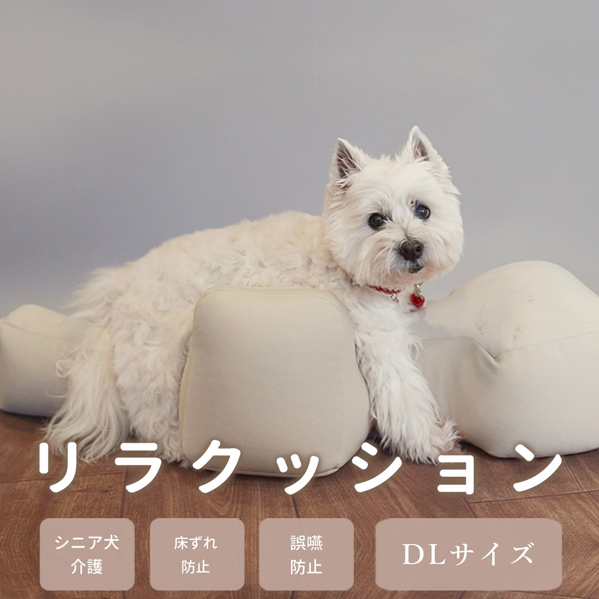 楽天市場】【愛犬用ベッド】 リラクッション DL ブラウン【立位保定