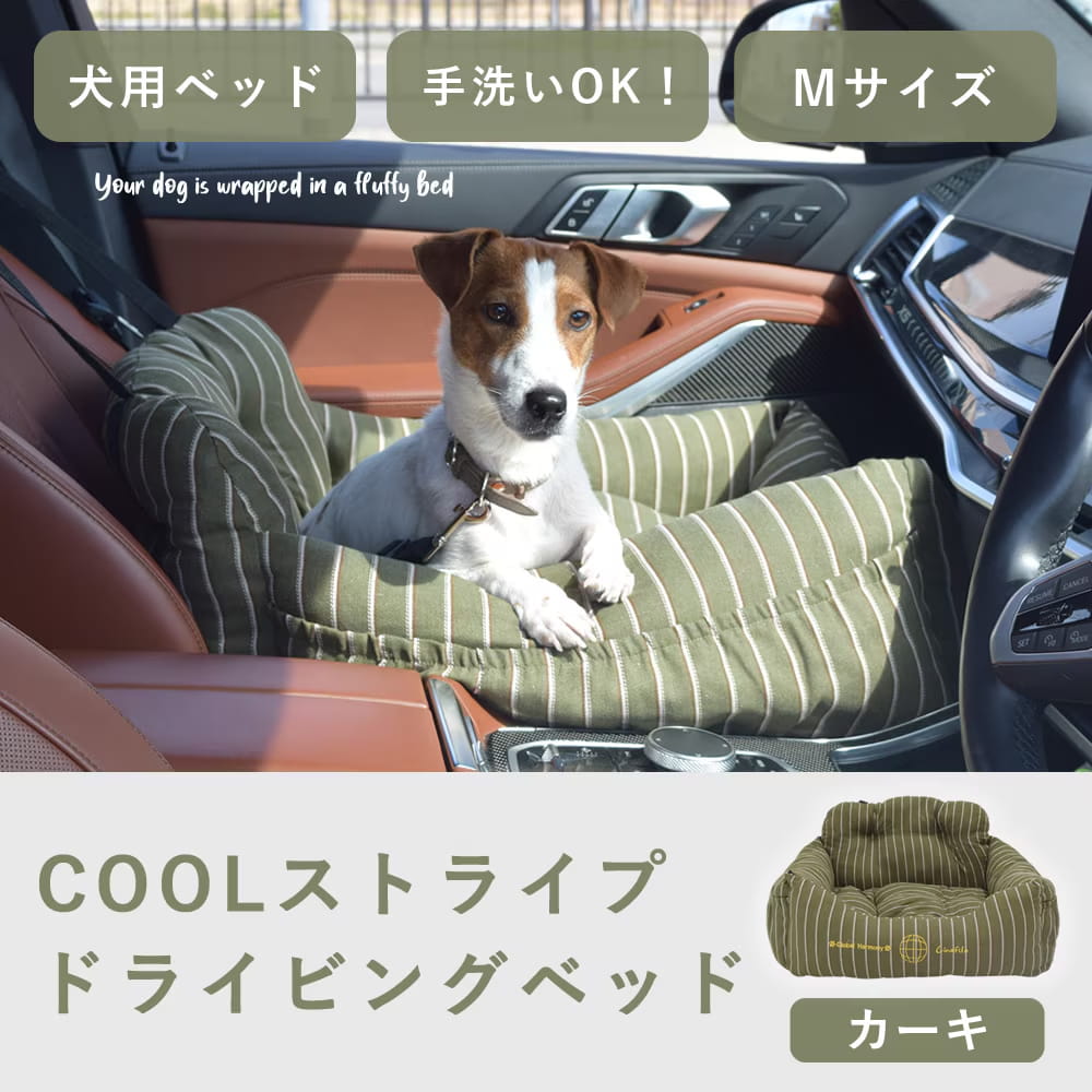 腎の臓に愛想のいい召し上がる特集