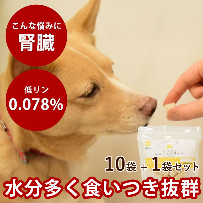 腎の臓に愛想のいい召し上がる特集