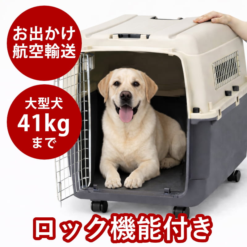 【割引クーポン配布中】ペットキャリー｜inuneru (イヌネル) クレートＬ100｜帝塚山ハウンドカム　店