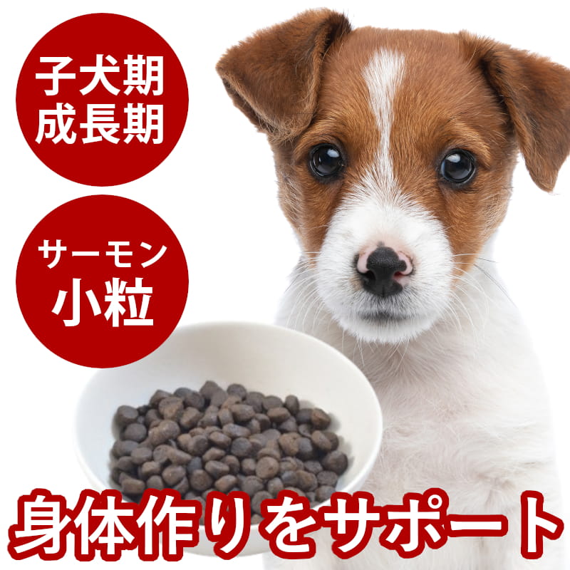 おいしい吸いもの特集