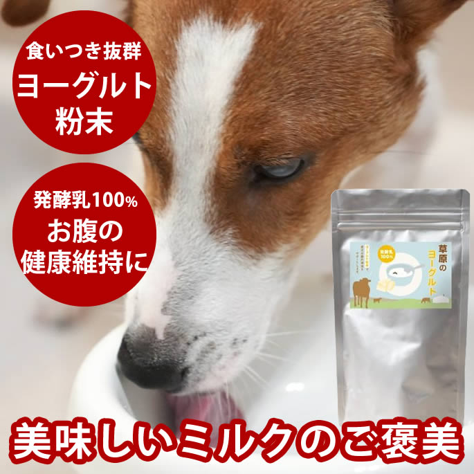 腎の臓に愛想のいい召し上がる特集