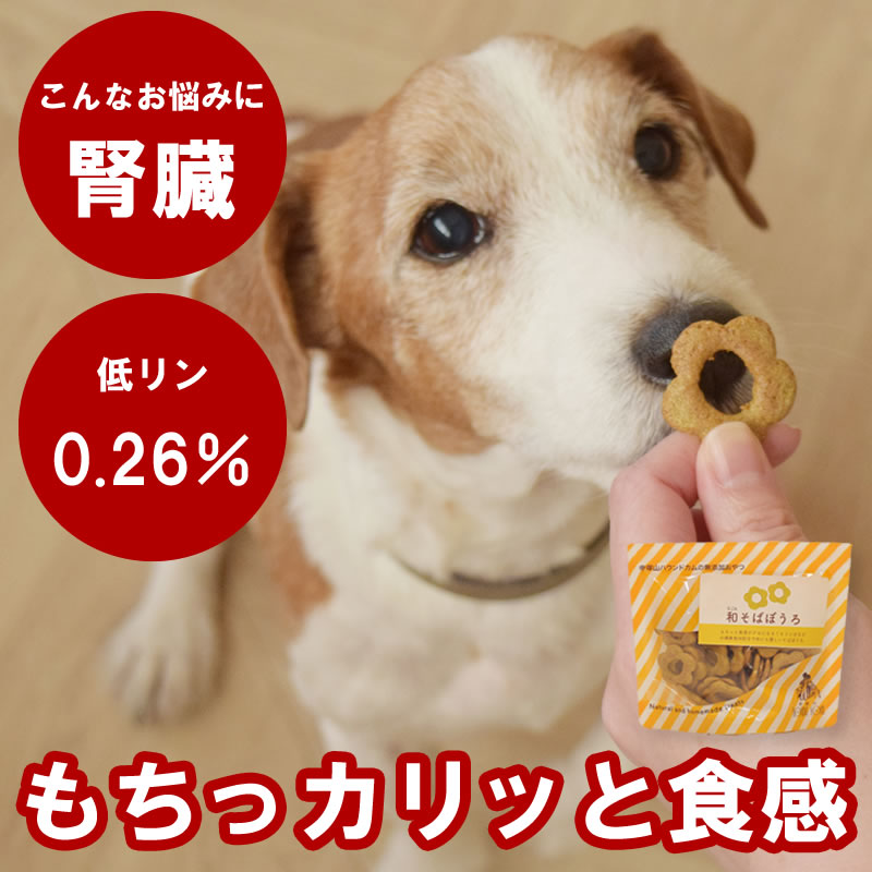 【割引クーポン配布中】犬 おやつ 和そばぼうろ 60g 国産 無添加 犬用クッキー やわらかい カリカリ 低リン 腎臓 に優しい 尿路 に配慮 消化 に優しい やわらかい しつけ アジリティー ご褒美 小型犬 中型犬 大型犬