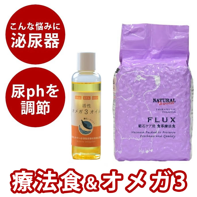おいも大寄りあつまる
