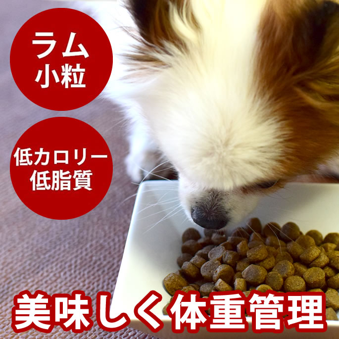 【割引クーポン配布中】トライプドライ　ドッグフード　ウェイトマネージメント SAP ラム 小粒タイプ ドッグフード 低カロリー 低脂質 子犬 グレインフリー プレミアムフード【ペットフード 乳酸菌 プレミアム 消化 穀物フリー】 高齢犬 シニア｜帝塚山ハウンドカム　店